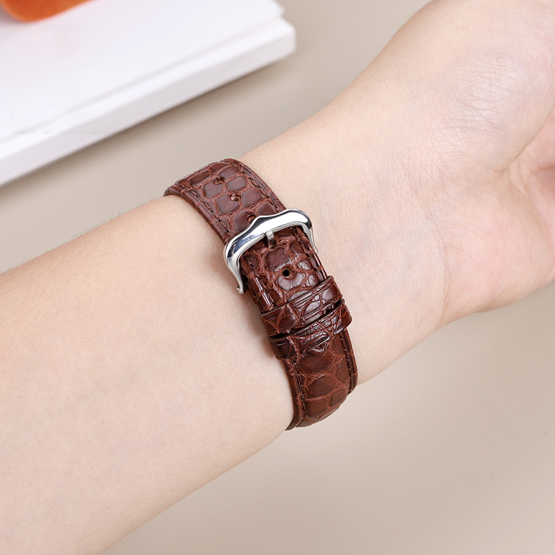 16mm 17 18 19 21 22mm Genuine  - đánh giá và giá Cartier Watch Santos